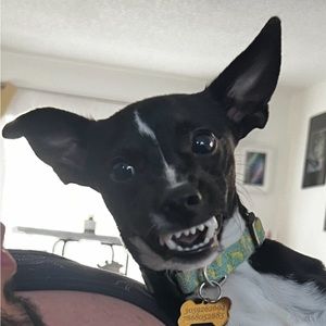 Meet your Posher, Jorge